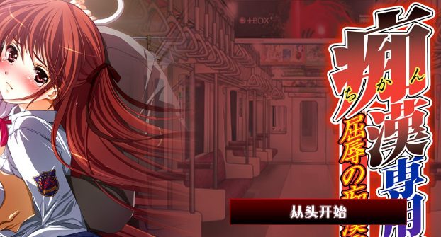 【PC/AI汉化/日系/ADV游戏/3.07G】痴汉专用车厢 (痴漢専用車両) HD重制版 全CG存档版+日系ADV游戏+3.07G