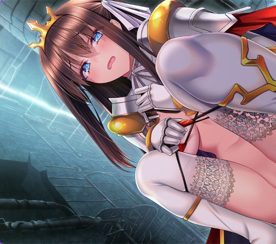 【PC/AI汉化/日式/ADV游戏/1.0G】 漆黑幸运人生～成为废弃旅馆店主，与有隐情的公主和修女共度的旅馆生活～AI汉化版+全CG存档+日式ADV游戏+1.0G